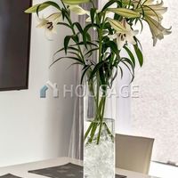 Apartment in Spain, Canary Islands, Santa Cruz de Tenerife, 220 sq.m.