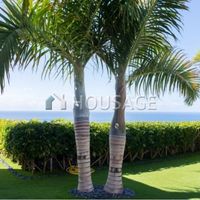 Apartment in Spain, Canary Islands, Santa Cruz de Tenerife, 95 sq.m.