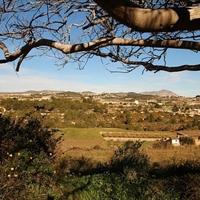 Вилла в Испании, Валенсия, Аликанте, 3310 кв.м.