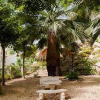 Flat in Spain, Comunitat Valenciana, Alicante