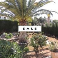 Villa in Spain, Comunitat Valenciana, Alicante, 250 sq.m.