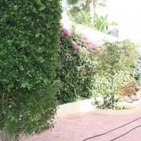 Villa in Spain, Comunitat Valenciana, Alicante, 400 sq.m.