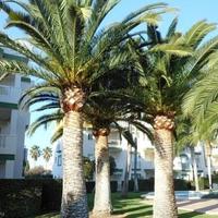 Квартира в Испании, Валенсия, Аликанте, 80 кв.м.