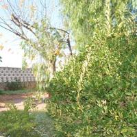 Townhouse in Spain, Comunitat Valenciana, Alicante, 60 sq.m.