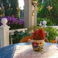 Вилла в Испании, Валенсия, Аликанте, 160 кв.м.