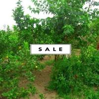 Villa in Spain, Comunitat Valenciana, Alicante, 175 sq.m.