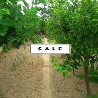 Villa in Spain, Comunitat Valenciana, Alicante, 175 sq.m.