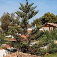 Вилла в Испании, Валенсия, Аликанте, 528 кв.м.