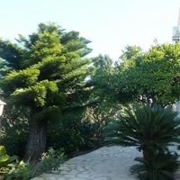 Вилла в Испании, Валенсия, Аликанте, 100 кв.м.