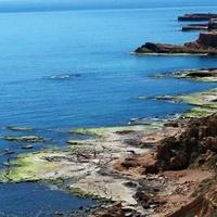 Вилла в Испании, Валенсия, Аликанте, 250 кв.м.