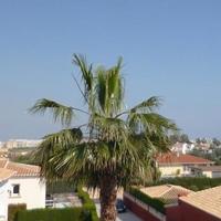 Вилла в Испании, Валенсия, Аликанте, 450 кв.м.