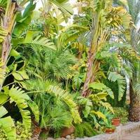 Вилла в Испании, Валенсия, Аликанте, 400 кв.м.