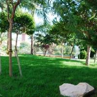 Квартира в Испании, Валенсия, Аликанте, 167 кв.м.