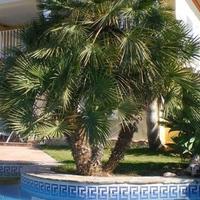 Вилла в Испании, Валенсия, Аликанте, 300 кв.м.