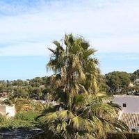 Вилла в Испании, Валенсия, Аликанте, 291 кв.м.