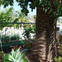 Вилла в Испании, Валенсия, Аликанте, 415 кв.м.