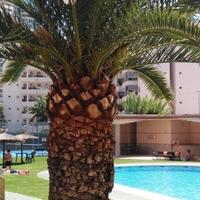 Квартира в Испании, Валенсия, Аликанте, 110 кв.м.