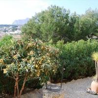 Вилла в Испании, Валенсия, Аликанте, 211 кв.м.