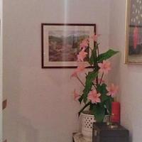 Таунхаус в Испании, Валенсия, Аликанте, 100 кв.м.