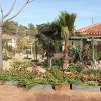 Вилла в Испании, Валенсия, Аликанте, 250 кв.м.