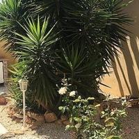 Вилла в Испании, Валенсия, Аликанте, 180 кв.м.