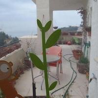 Flat in Spain, Comunitat Valenciana, Alicante, 150 sq.m.