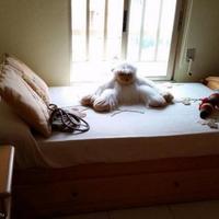 Квартира в Испании, Валенсия, Аликанте, 70 кв.м.