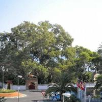 Flat in Spain, Comunitat Valenciana, Alicante, 57 sq.m.