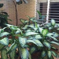 Flat in Spain, Comunitat Valenciana, Alicante, 100 sq.m.