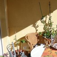 Flat in Spain, Comunitat Valenciana, Alicante, 107 sq.m.