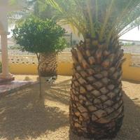 Villa in Spain, Comunitat Valenciana, Alicante, 130 sq.m.