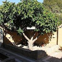 Вилла в Испании, Валенсия, Аликанте, 269 кв.м.