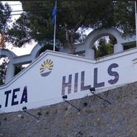 Land plot in Spain, Comunitat Valenciana, Alicante