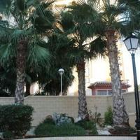 Flat in Spain, Comunitat Valenciana, Alicante, 70 sq.m.