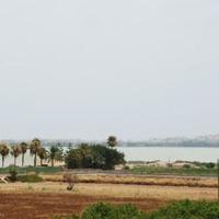 Таунхаус в Испании, Валенсия, Аликанте, 65535 кв.м.