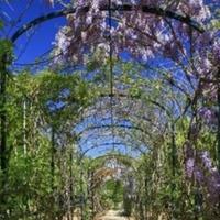 Villa in Spain, Comunitat Valenciana, Alicante, 617 sq.m.