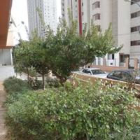 Квартира в Испании, Валенсия, Аликанте, 116 кв.м.