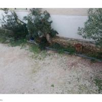 Квартира в Испании, Валенсия, Аликанте, 100 кв.м.