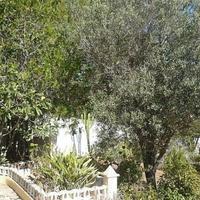 Villa in Spain, Comunitat Valenciana, Alicante, 200 sq.m.