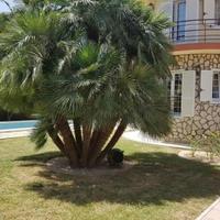 Villa in Spain, Comunitat Valenciana, Alicante, 357 sq.m.