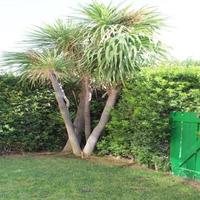 Flat in Spain, Comunitat Valenciana, Alicante, 60 sq.m.