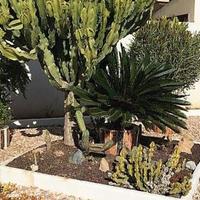 Villa in Spain, Comunitat Valenciana, Alicante, 260 sq.m.