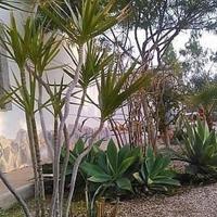 Villa in Spain, Comunitat Valenciana, Alicante, 180 sq.m.