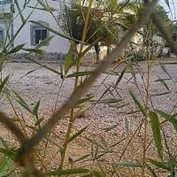 Villa in Spain, Comunitat Valenciana, Alicante, 180 sq.m.