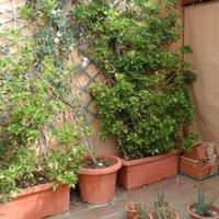 Flat in Spain, Comunitat Valenciana, Alicante, 240 sq.m.