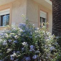 Villa in Spain, Comunitat Valenciana, Alicante, 130 sq.m.