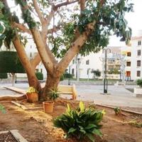Flat in Spain, Comunitat Valenciana, Alicante, 80 sq.m.