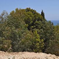 Villa in Spain, Comunitat Valenciana, Alicante, 345 sq.m.