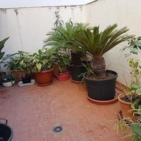 Flat in Spain, Comunitat Valenciana, Alicante, 115 sq.m.