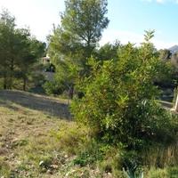 Земельный участок в Испании, Валенсия, Аликанте